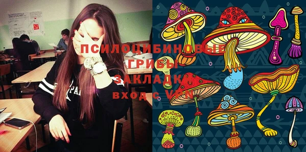 меф Приозерск