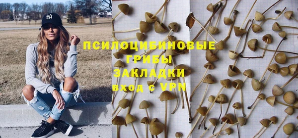 меф Приозерск