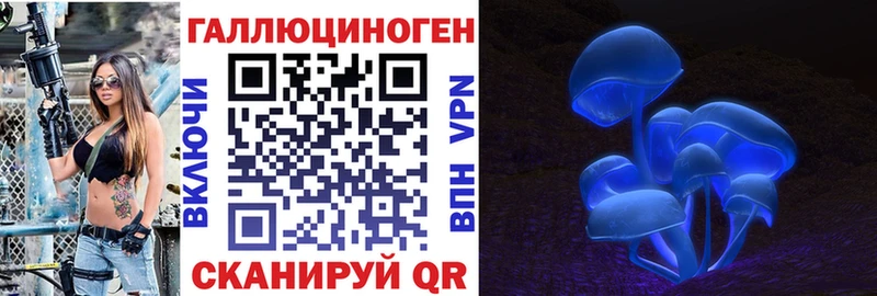 Купить  Каргополь  Галлюциногенные грибы GOLDEN TEACHER 